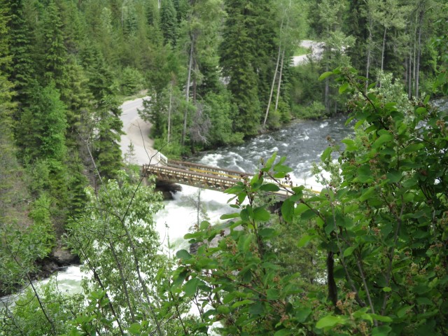 De brug over de Dawson Falls